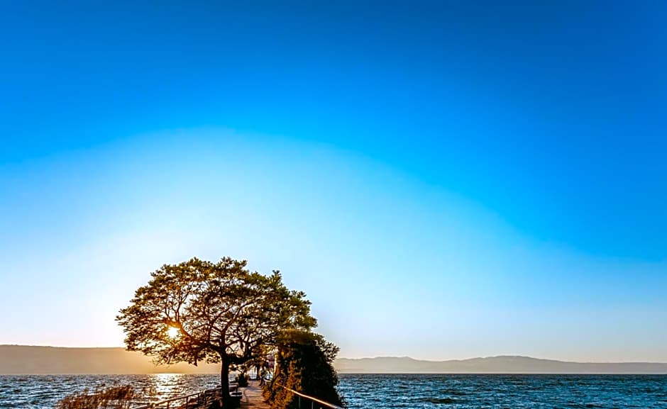 Daria- Authentic Israeli Experience