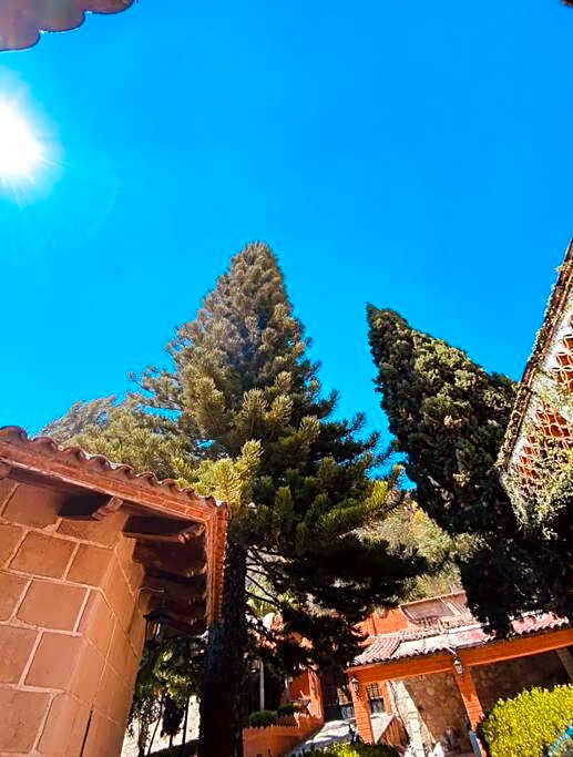 Residencia estilo Californiana Jardín de los Soles