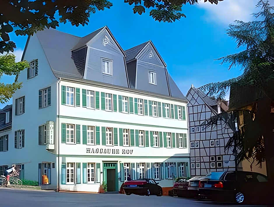 Hotel Nassauer Hof