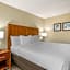 Comfort Inn & Suites St. Pete - Clearwater International Airport