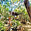 El Eden Escondido