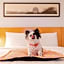 ibis Loriol Le Pouzin