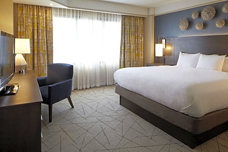 Premium King Suite