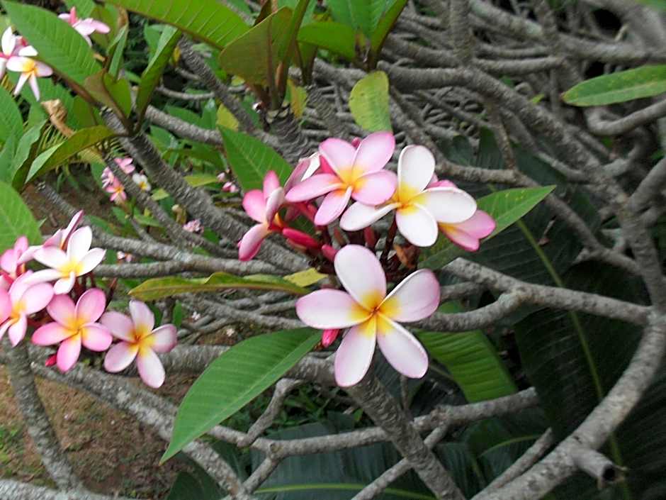 Zuider Zee Guest House