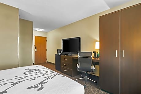 Queen Room - Accessible/Non Smoking