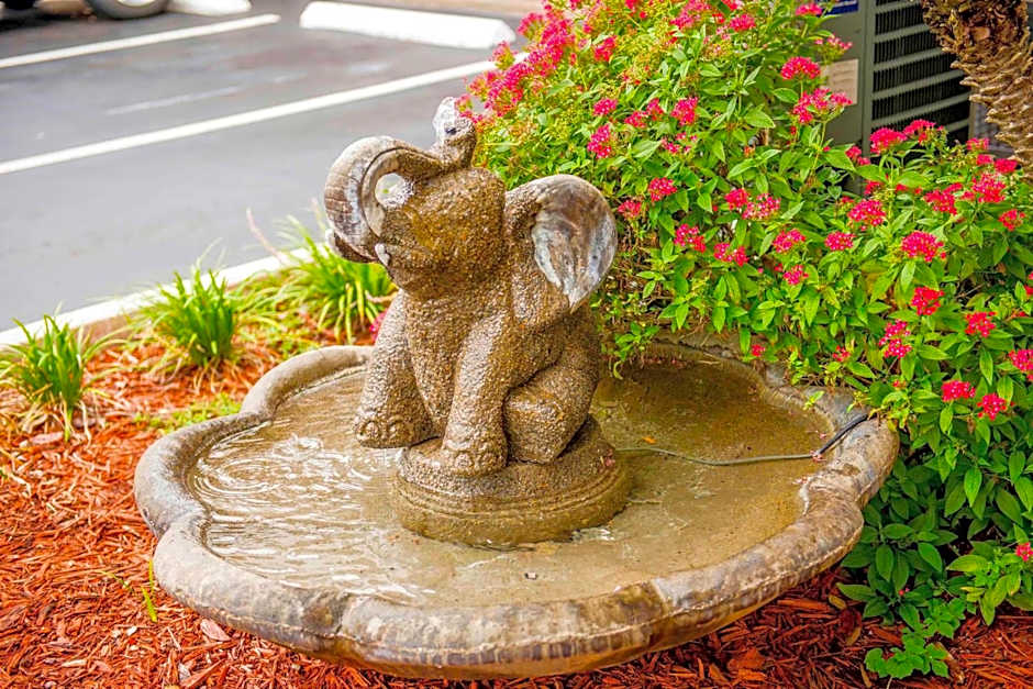 Hotel South Tampa & Suites