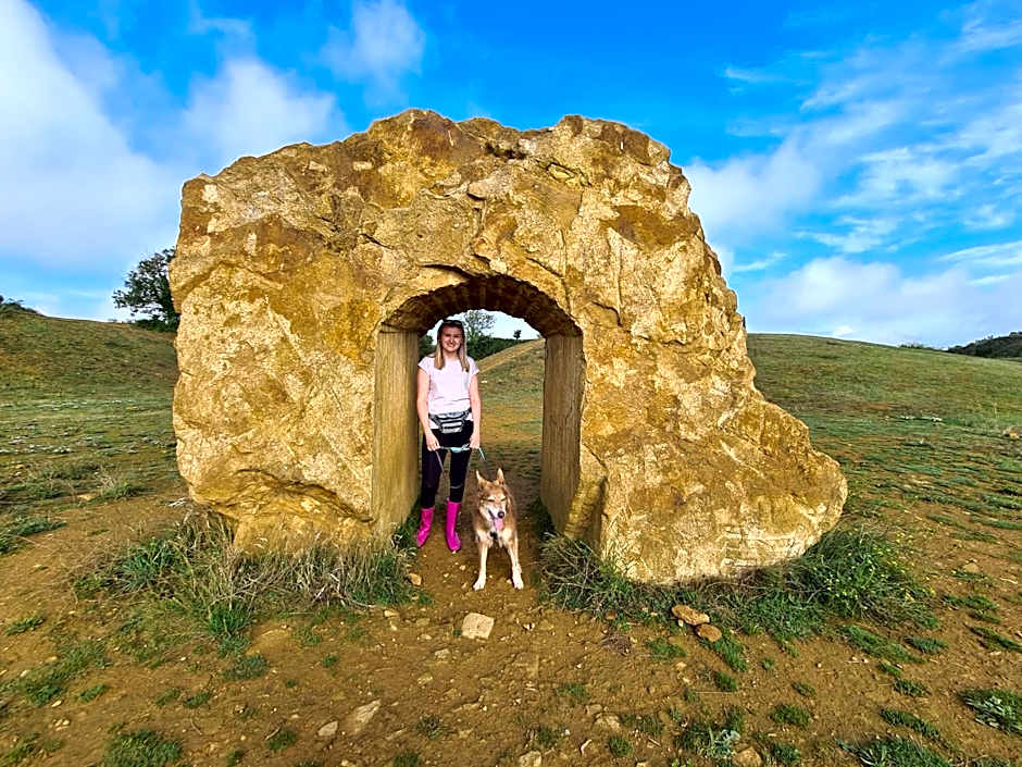 Shepherds Huts Ham Hill, 2 double beds, Bathroom, Lounge, Diner, Kitchen, LOVE dogs & Cats Looking out to lake and by Ham Hill Country Park plus parking for large vehicles available also great deals on workers long term This is the place to relax and BBQ