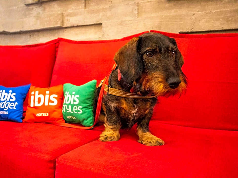 Ibis Merida