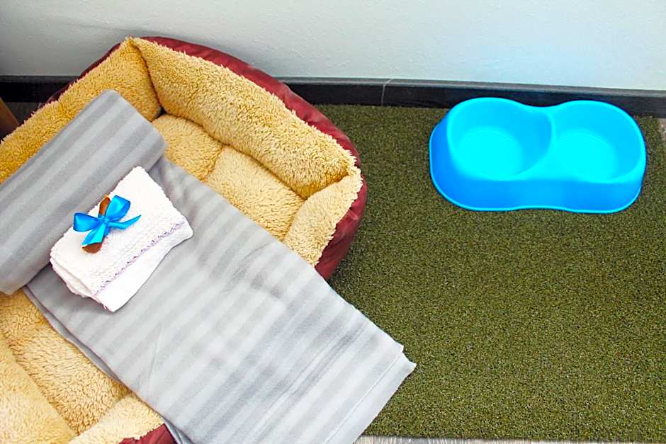 Francis Superior Rooms