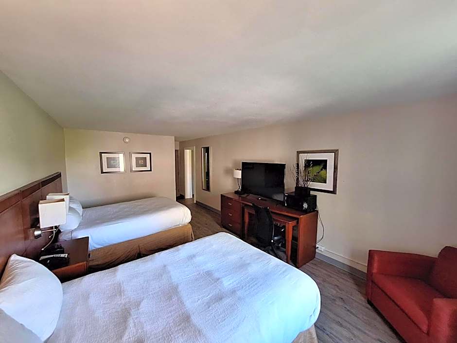 The Hotel Orange