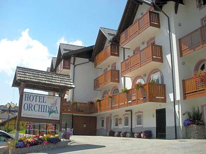Photo 1 of 50 of Hotel Orchidea
