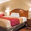 Econo Lodge Holland - Toledo