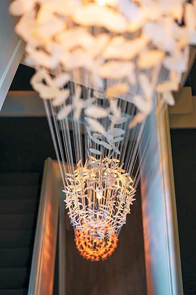 Les Terrasses des Falizes B&B