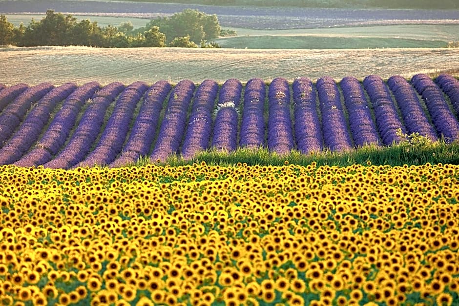 Les Jardins de Baracane