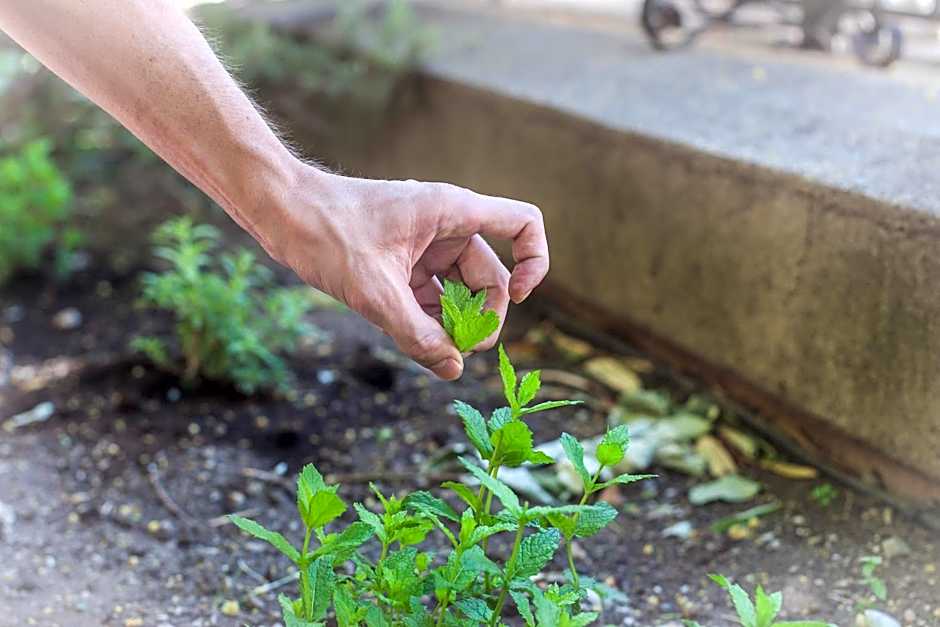 Logis Hôtel Restaurant Résidence