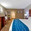 Comfort Inn Binghamton I-81