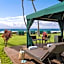 Marriott's Maui Ocean Club  - Lahaina & Napili Towers