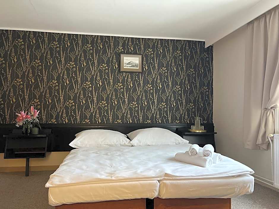 Hotel Lomnice
