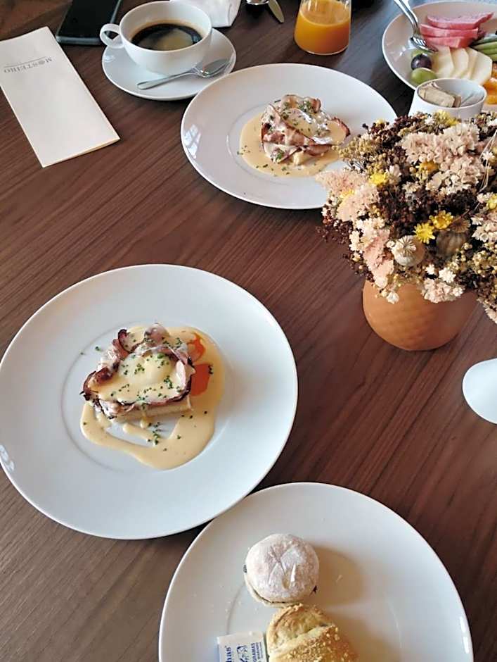 The Lince Santa Clara