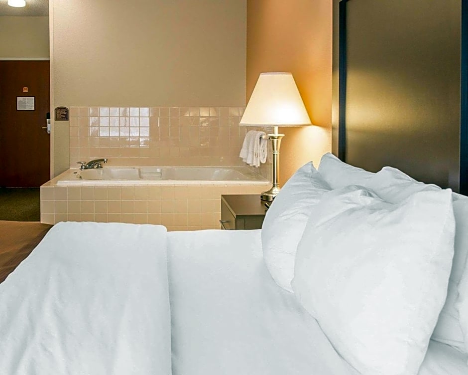 Quality Inn & Suites Niles