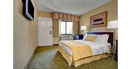 1 Queen Bed Non-Smoking