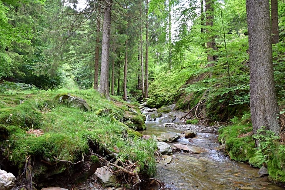 Marschalls Hotel Am Rennsteig