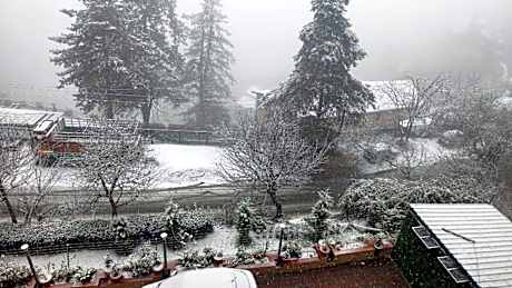 Udman Grand Mashobra