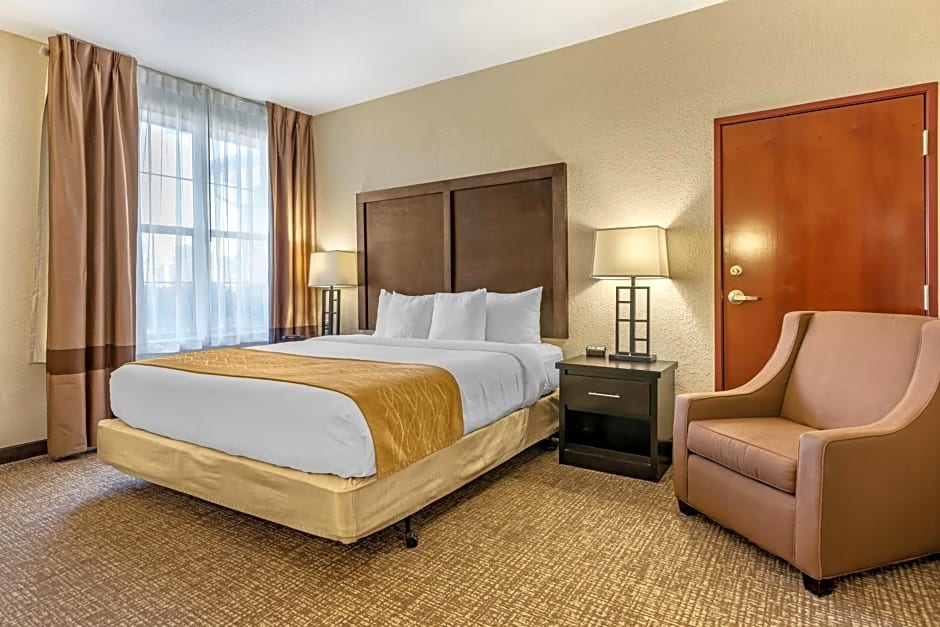 Comfort Inn & Suites Allen Park - Dearborn