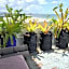 PierView Rooms