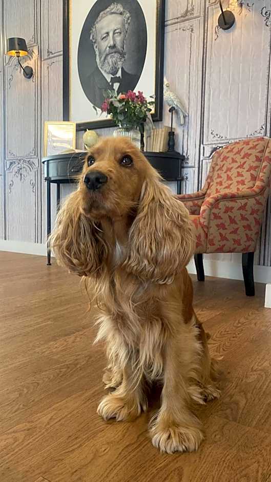 Hôtel Jules Verne Biarritz