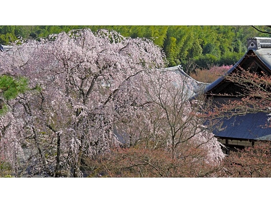 River Side Arashiyama - Vacation STAY 86248v