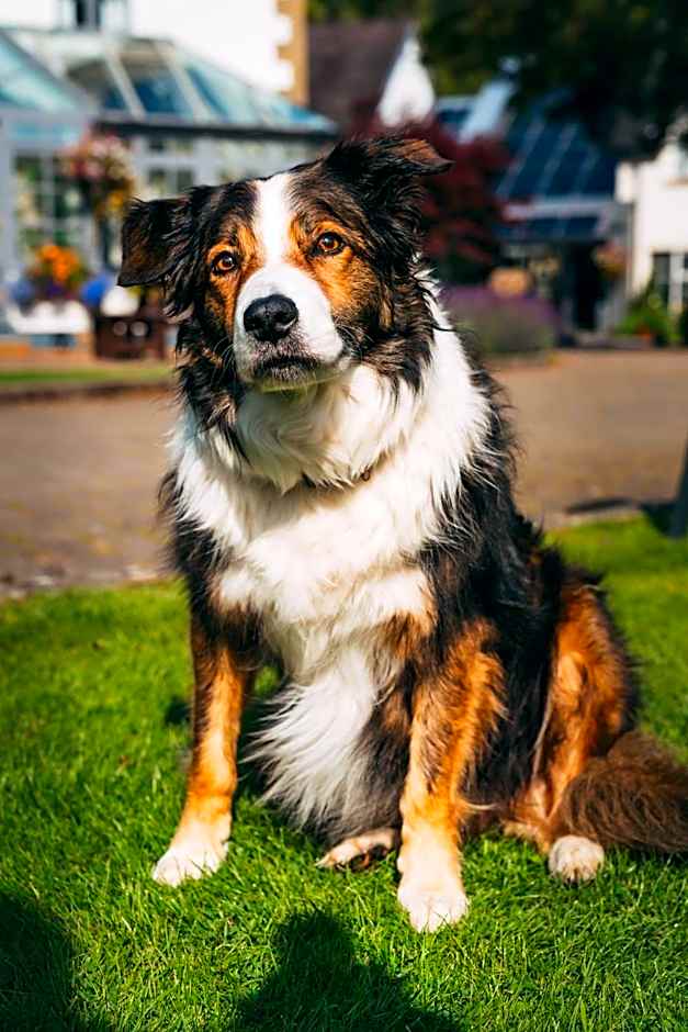 Wild Pheasant Hotel & Spa