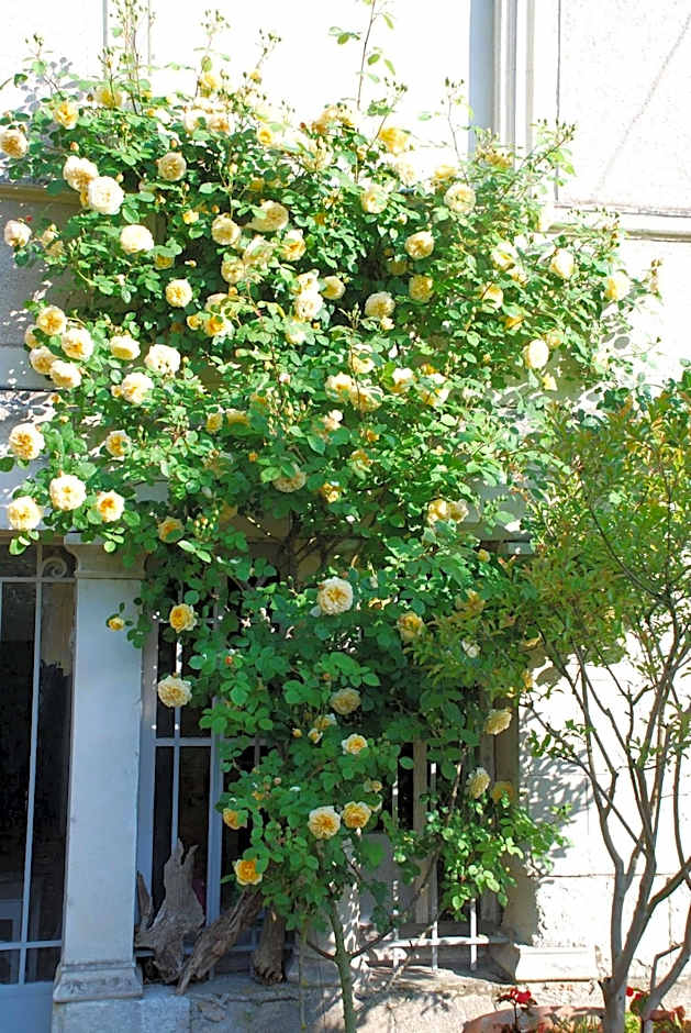 Domaine de l'Oie Rouge