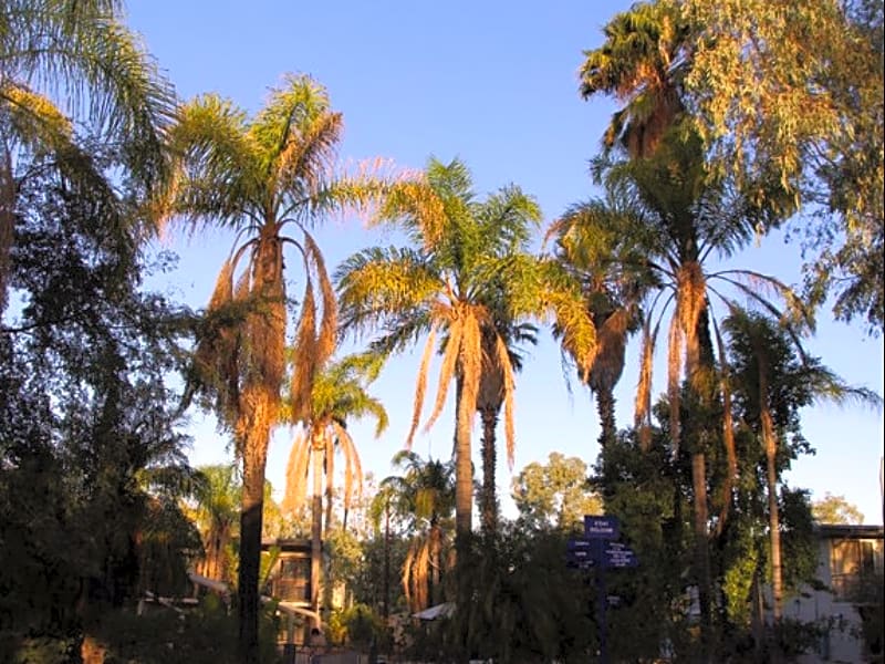 ibis Styles Alice Springs Oasis