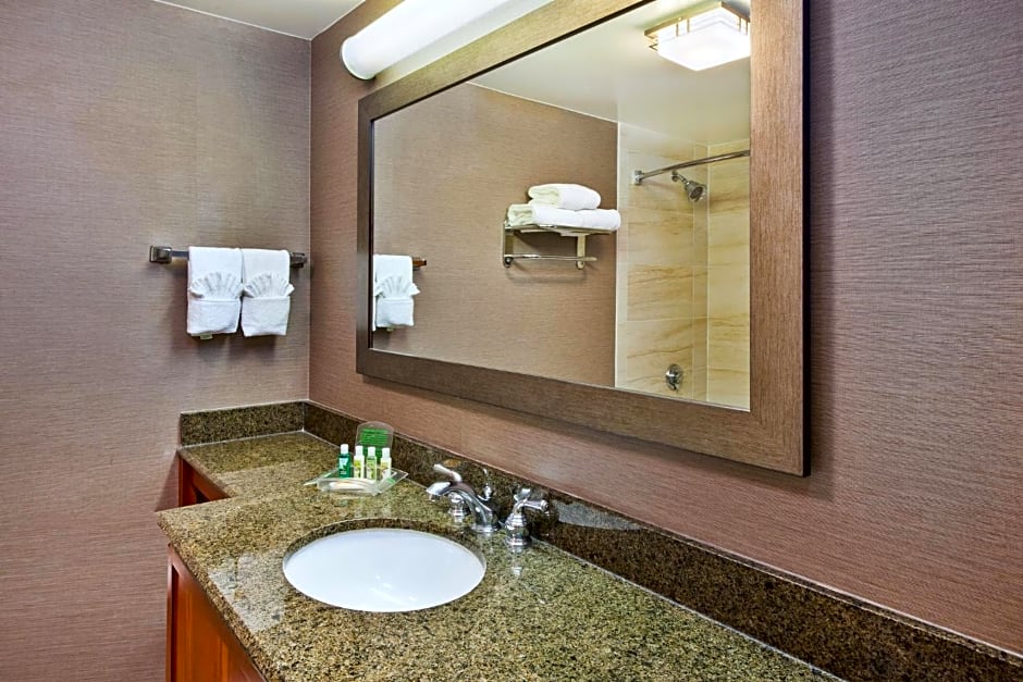 Holiday Inn Washington-Dulles International Airport By IHG