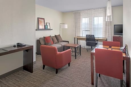 Studio, 1 King Bed with Sofa bed (1 King Bed and 1 Double Sofa Bed)