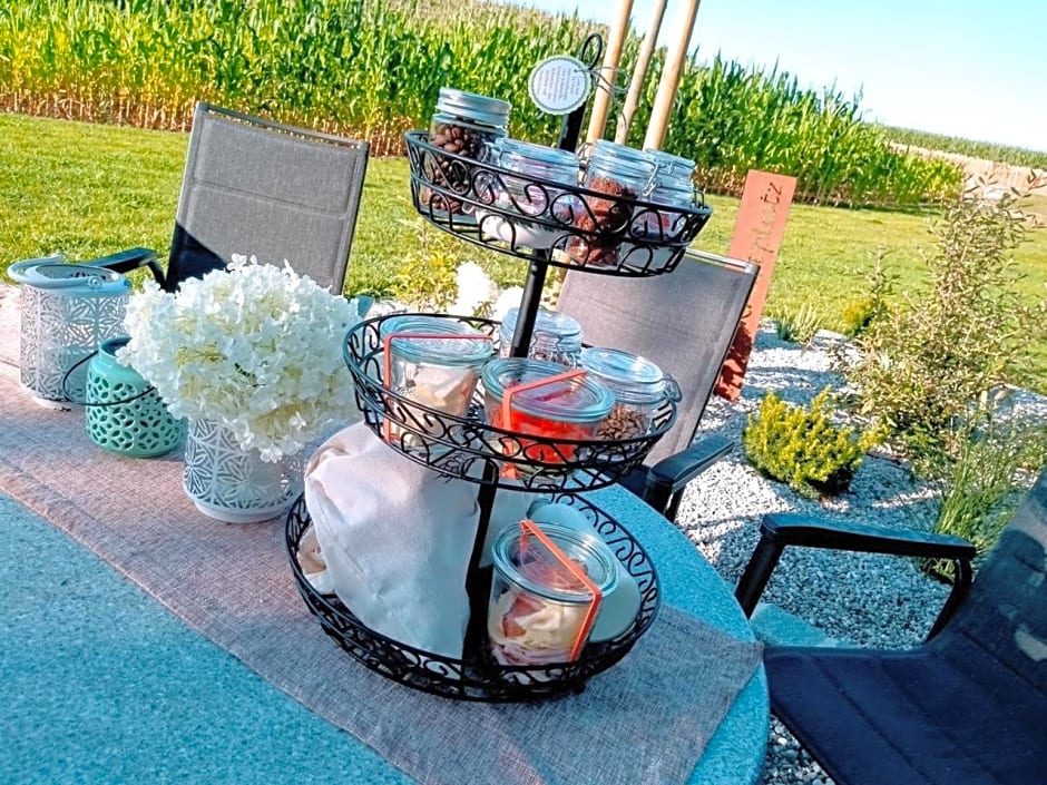 Grafhaidergut - Urlaub am Bauernhof - Auszeit am Land