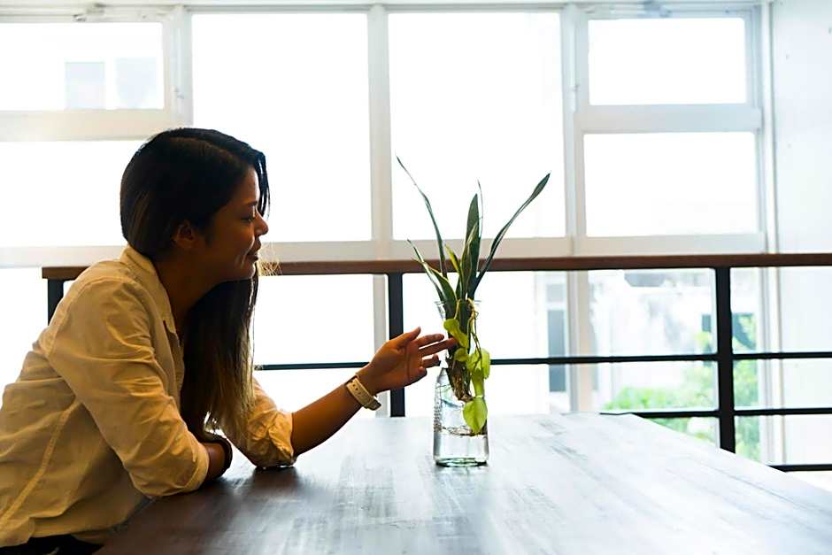 HOSTEL SunTerrace Ishigaki