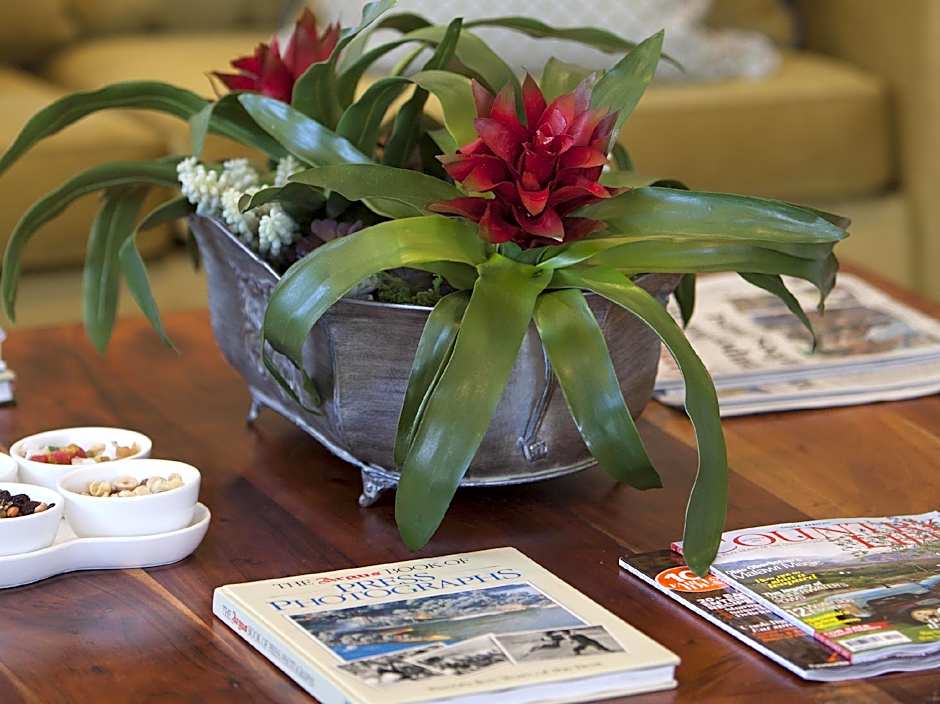 Hermanus Guest House