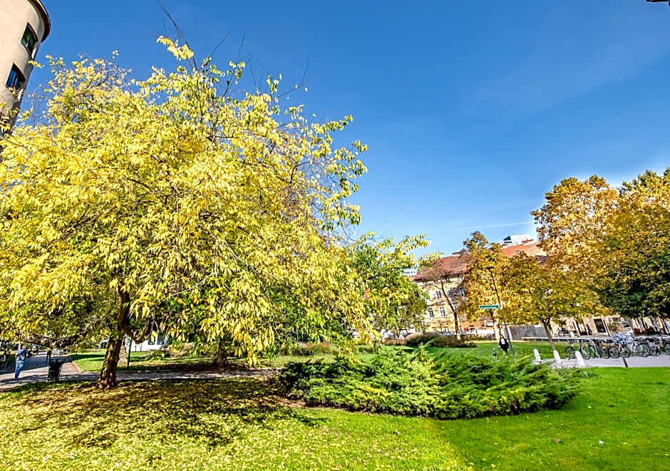 Urban Boutique Hotel Center