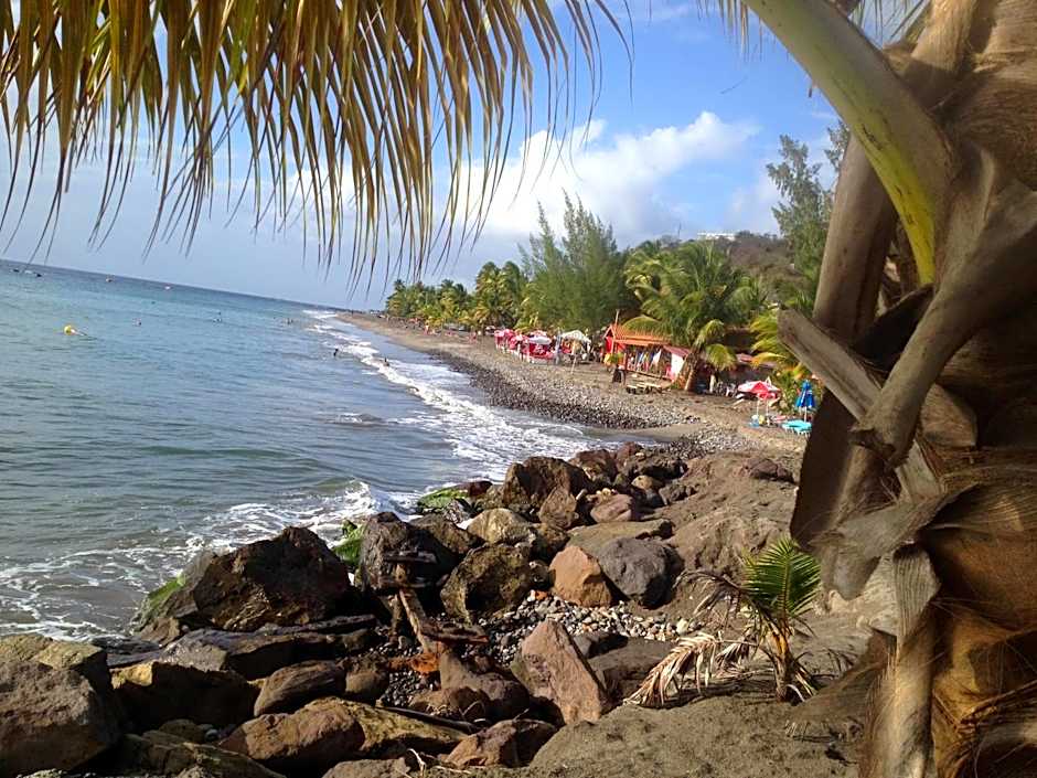 Martinique Treehouse