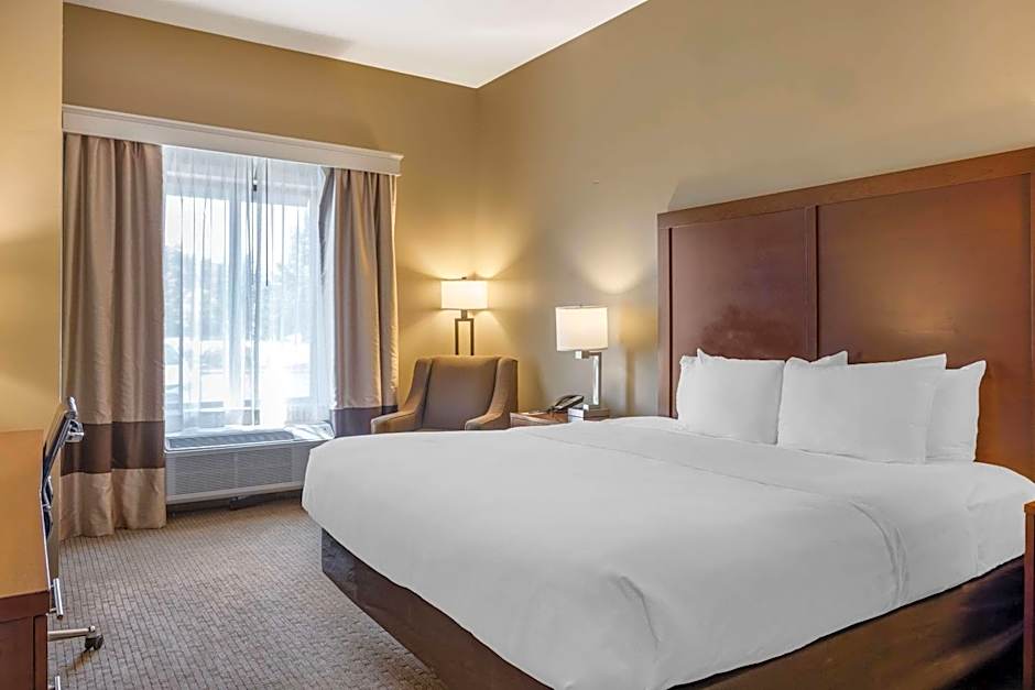 Comfort Inn & Suites At CrossPlex Village