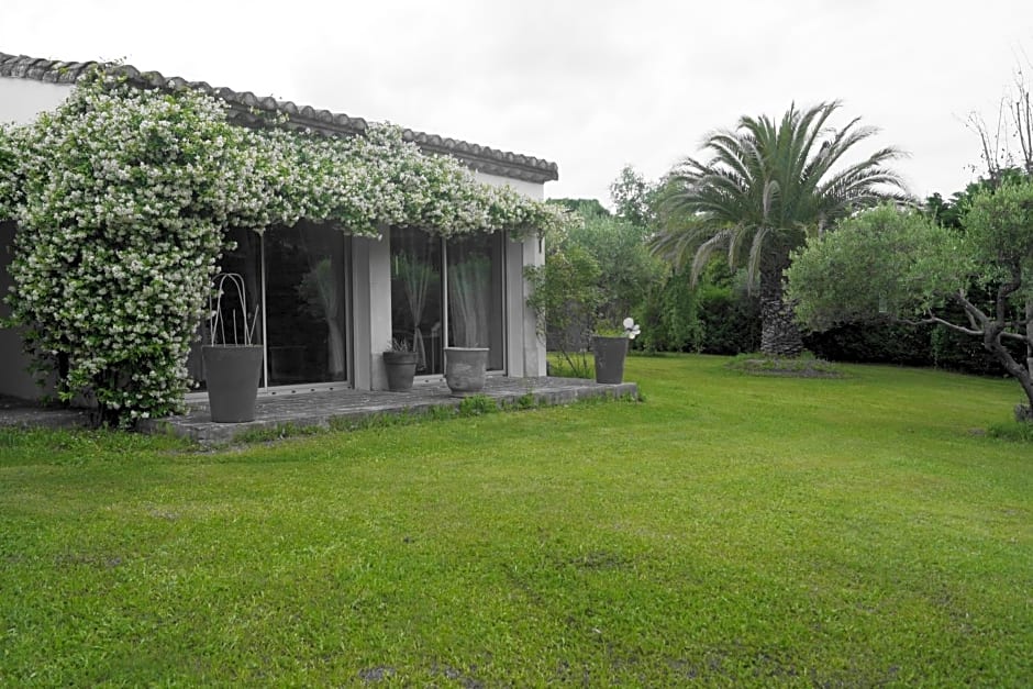 Studio au coeur de la petite camargue