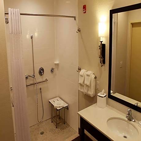 1 King Mobility Hearing Accessible Roll In Shower Non-Smoking
