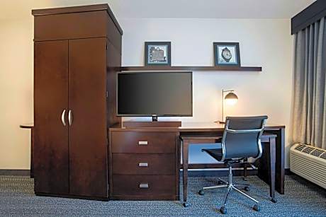 Room, 1 King Bed with Sofa bed (Hearing Accessible) (1 King Bed and 1 Double Sofa Bed)