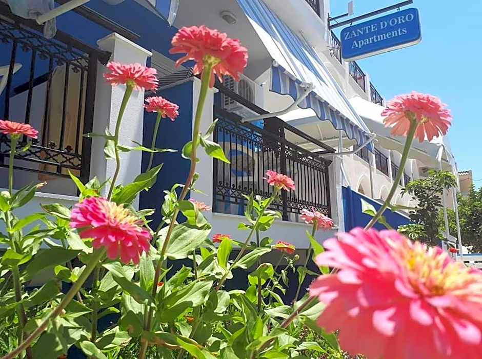 Hotel Asimina Laganas