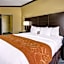 Comfort Suites Lake Ray Hubbard