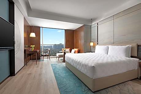 Standard King Room with Town View