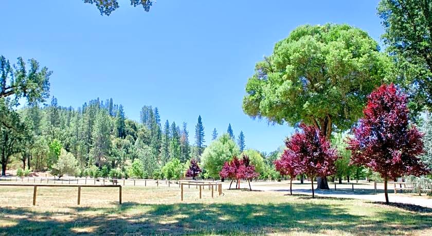 Mandala Springs Wellness Retreat Center