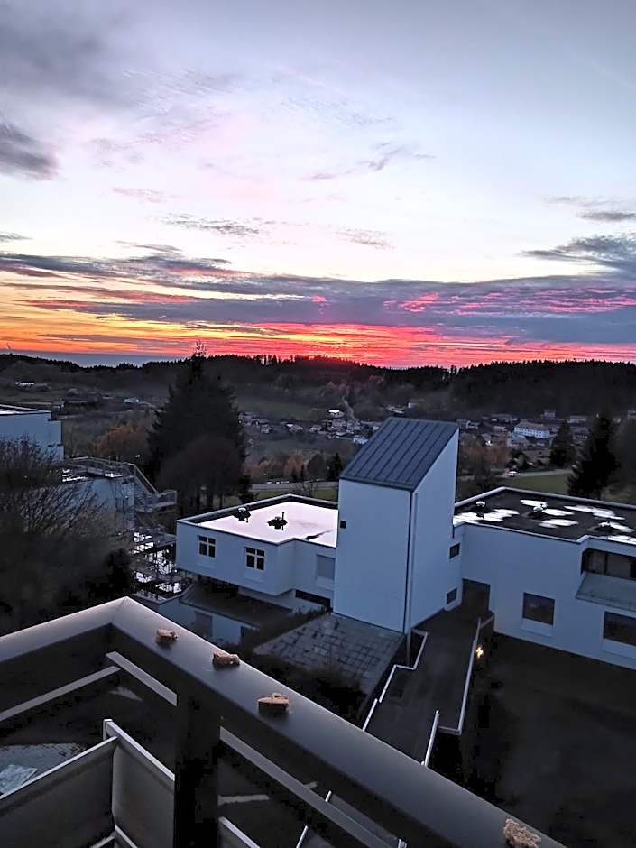 King Panorama mit Netflix